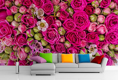 Fototapeta Bed of roses